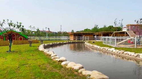 自駕到武漢蔡甸這座生態(tài)園 體驗土灶做飯燒菜,還有特色露營區(qū)