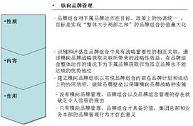 橫向品牌管理 超越傳統縱向模式，以攝像及制作服務為例