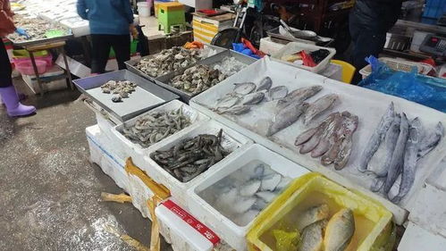 2021哈爾濱批發市場地圖 ,收藏能省一半的錢