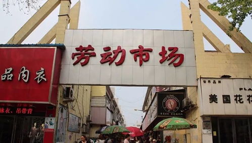 濮陽(yáng)勞動(dòng)市場(chǎng) 你現(xiàn)在怎樣